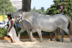 Especes d Espaces 62 * 5760 x 3840 * (8.2MB)